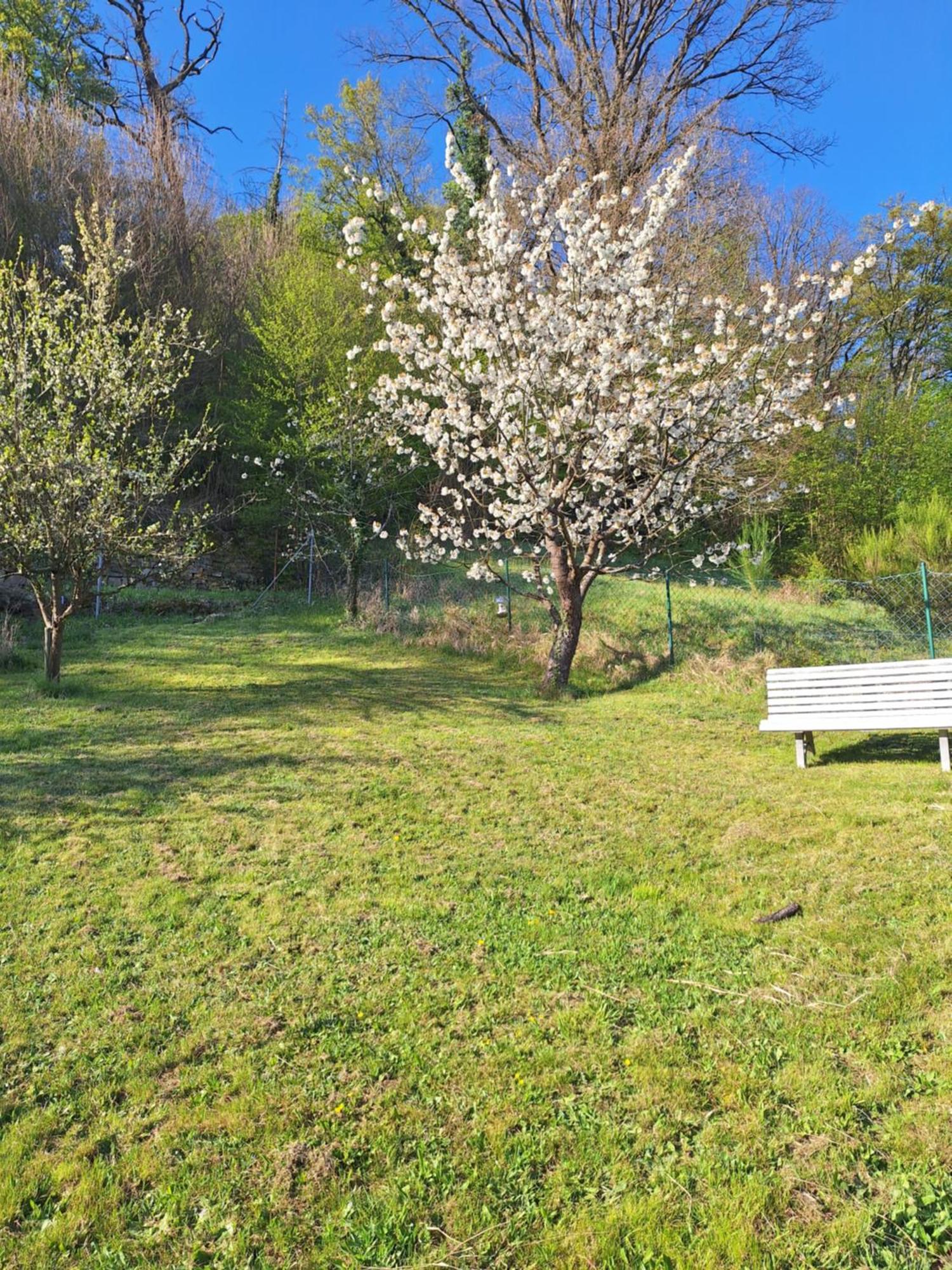 Kleines Domizil Am Suedhang Ortenberg  외부 사진